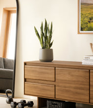 Load image into Gallery viewer, Olive