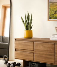 Load image into Gallery viewer, Mustard