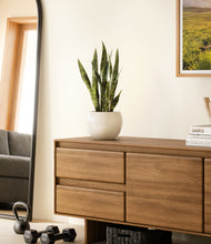 Load image into Gallery viewer, Shiny EggWhite