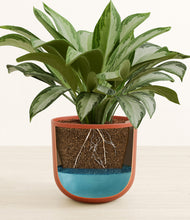 Load image into Gallery viewer, Earth Red