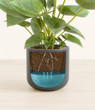 Load image into Gallery viewer, Iron Gray