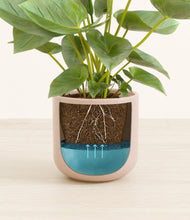 Load image into Gallery viewer, Sandy Pink