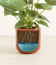 Load image into Gallery viewer, Glossy Red stand:all