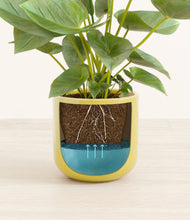 Load image into Gallery viewer, Key Lime Yellow stand:all