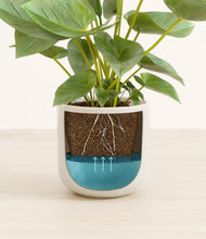 Load image into Gallery viewer, Cotton White stand:all