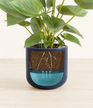 Load image into Gallery viewer, Twilight Blue stand:all