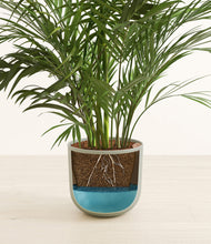 Load image into Gallery viewer, Sage Green