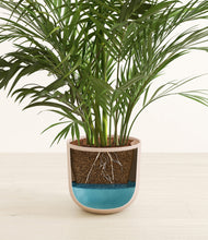 Load image into Gallery viewer, Sandy Pink