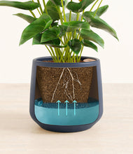 Load image into Gallery viewer, Deep Navy