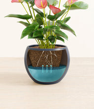 Load image into Gallery viewer, Deep Navy