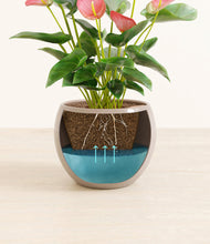 Load image into Gallery viewer, Desert Brown