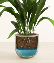 Load image into Gallery viewer, Sage Green