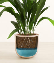 Load image into Gallery viewer, Sandy Pink