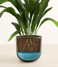 Load image into Gallery viewer, Stone Black