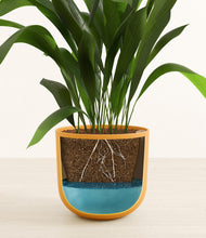 Load image into Gallery viewer, Sunset Orange