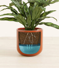 Load image into Gallery viewer, Glossy Red