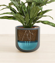 Load image into Gallery viewer, Iron Gray