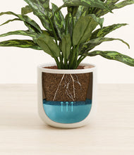 Load image into Gallery viewer, Cotton White