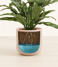 Load image into Gallery viewer, Sandy Pink