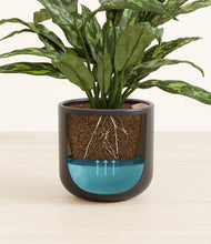 Load image into Gallery viewer, Stone Black