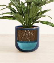 Load image into Gallery viewer, Twilight Blue