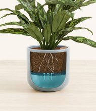 Load image into Gallery viewer, Misty Blue