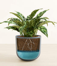 Load image into Gallery viewer, Iron Gray stand:all