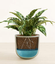 Load image into Gallery viewer, Sage Green stand:all