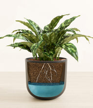 Load image into Gallery viewer, Stone Black stand:all