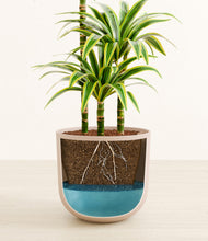 Load image into Gallery viewer, Sandy Pink