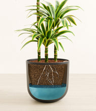 Load image into Gallery viewer, Stone Black