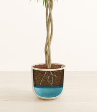 Load image into Gallery viewer, Natural Bamboo