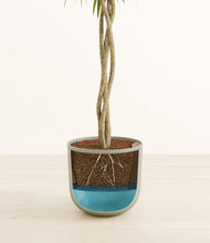 Load image into Gallery viewer, Sage Green