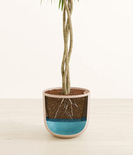 Load image into Gallery viewer, Sandy Pink