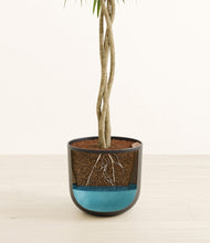 Load image into Gallery viewer, Stone Black