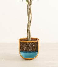 Load image into Gallery viewer, Sunset Orange