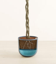 Load image into Gallery viewer, Iron Gray