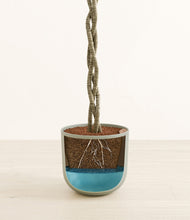 Load image into Gallery viewer, Sage Green