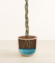 Load image into Gallery viewer, Sandy Pink