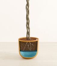 Load image into Gallery viewer, Sunset Orange