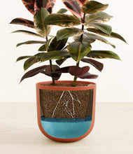 Load image into Gallery viewer, Earth Red