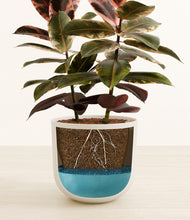 Load image into Gallery viewer, Natural Bamboo