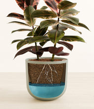 Load image into Gallery viewer, Sage Green