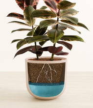 Load image into Gallery viewer, Sandy Pink