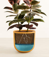 Load image into Gallery viewer, Sunset Orange