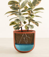 Load image into Gallery viewer, Earth Red stand:all