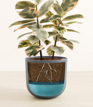 Load image into Gallery viewer, Iron Gray stand:all