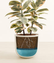 Load image into Gallery viewer, Natural Bamboo stand:all