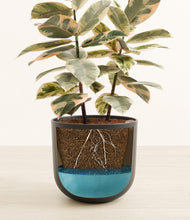 Load image into Gallery viewer, Stone Black stand:all