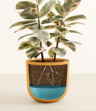 Load image into Gallery viewer, Sunset Orange stand:all